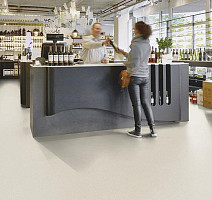 Forbo Marmoleum Decibel on Order 365035 polar bear фото 3 | FLOORDEALER
